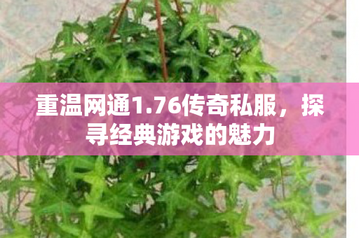 探寻经典游戏的魅力图片