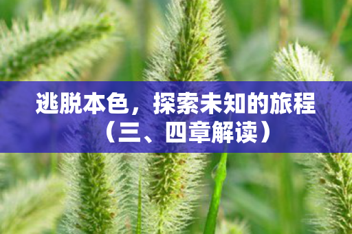 探索未知的旅程图片