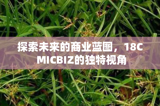 18C MICBIZ的独特视角图片