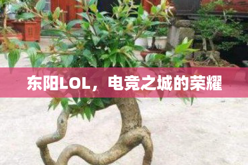 电竞之城的荣耀图片
