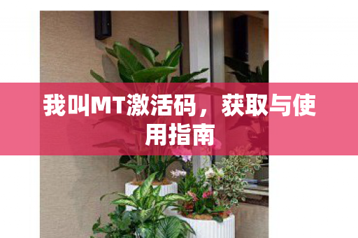 我叫MT激活码图片