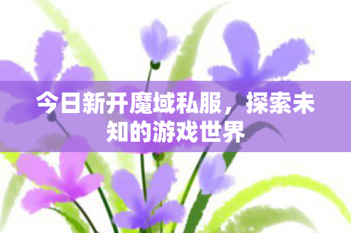探索未知的游戏世界图片