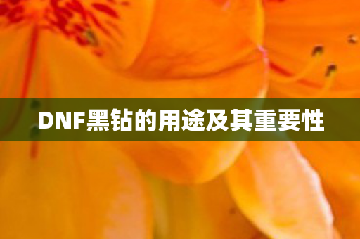 DNF黑钻的用途及其重要性图片