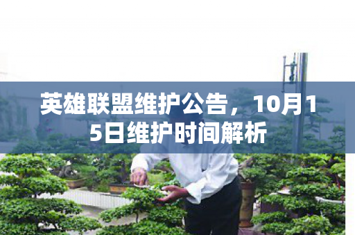 10月15日维护时间解析图片