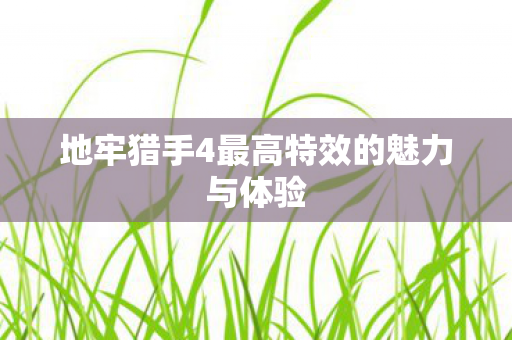 地牢猎手4最高特效的魅力与体验图片
