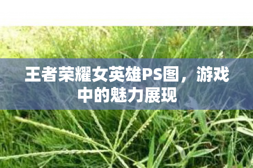 王者荣耀女英雄PS图图片