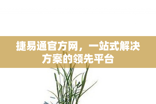 一站式解决方案的领先平台图片