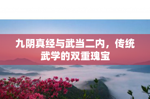 九阴真经与武当二内图片