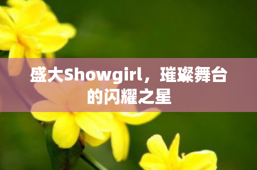 盛大Showgirl图片
