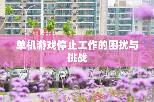 单机游戏停止工作的困扰与挑战图片