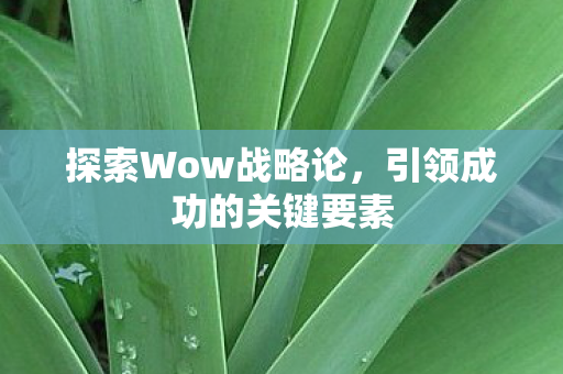 引领成功的关键要素图片