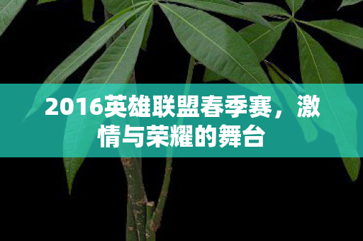 2016英雄联盟春季赛图片
