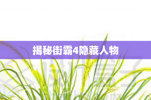 揭秘街霸4隐藏人物图片