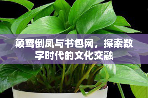 探索数字时代的文化交融图片