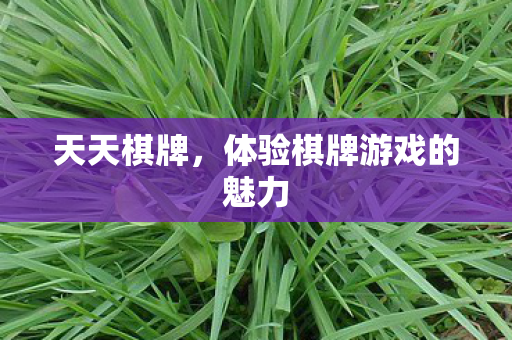 体验棋牌游戏的魅力图片
