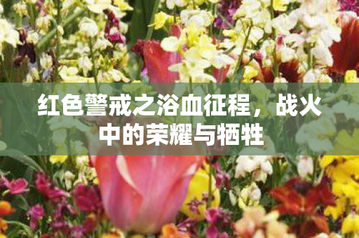 红色警戒之浴血征程图片