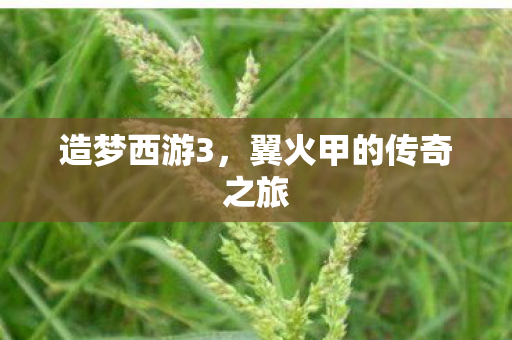 翼火甲的传奇之旅图片