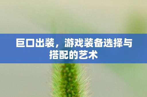 游戏装备选择与搭配的艺术图片