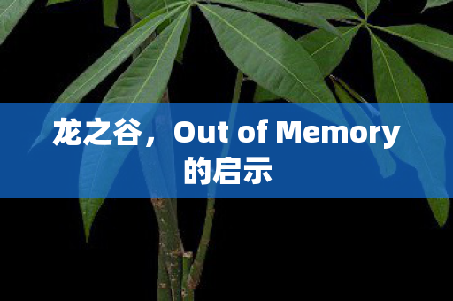 Out of Memory的启示图片