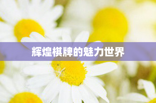 辉煌棋牌的魅力世界图片
