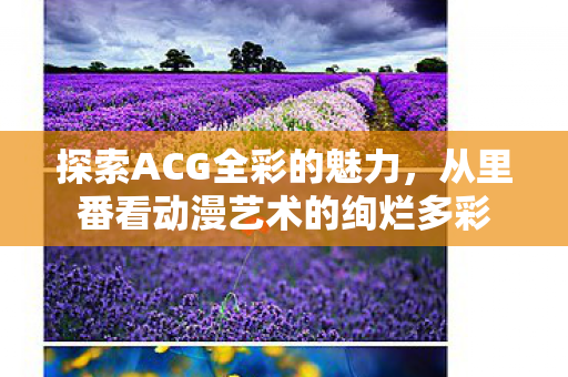 从里番看动漫艺术的绚烂多彩图片