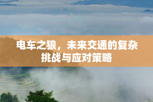 未来交通的复杂挑战与应对策略图片