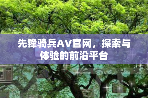 探索与体验的前沿平台图片
