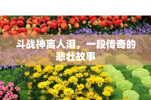 一段传奇的悲壮故事图片