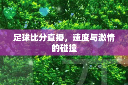 速度与激情的碰撞图片