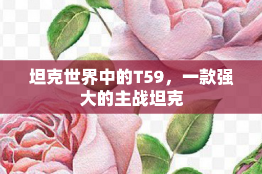 坦克世界中的T59图片