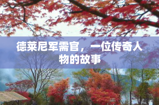 一位传奇人物的故事图片