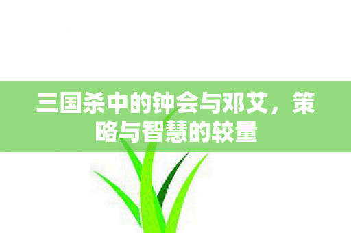 三国杀中的钟会与邓艾图片