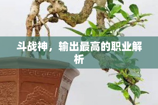 输出最高的职业解析图片