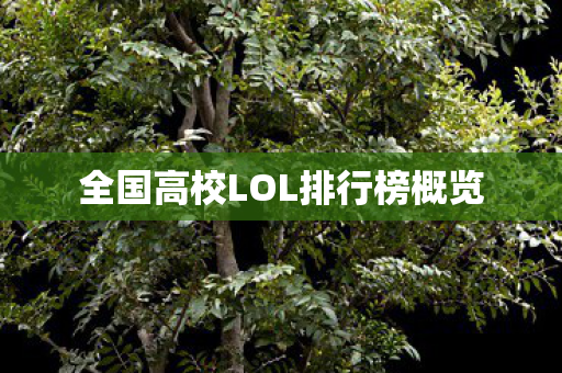 全国高校LOL排行榜概览图片