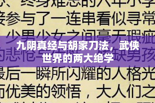 九阴真经与胡家刀法图片