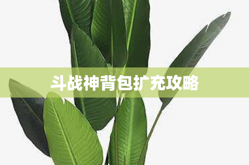 斗战神背包扩充攻略图片