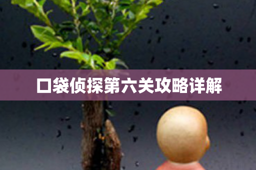口袋侦探第六关攻略详解图片