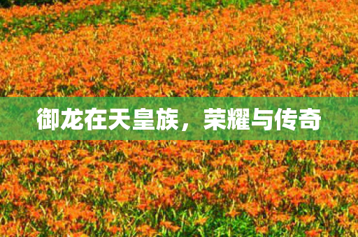 御龙在天皇族图片