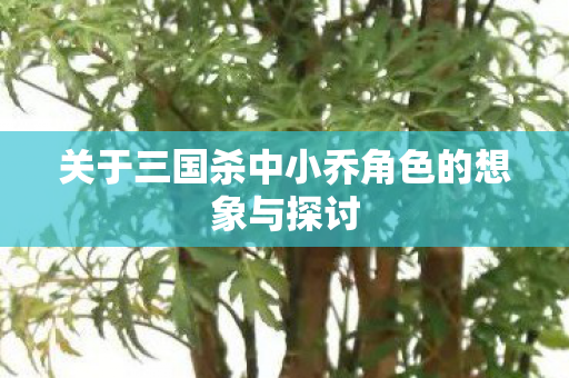 关于三国杀中小乔角色的想象与探讨图片