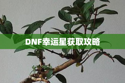 DNF幸运星获取攻略图片