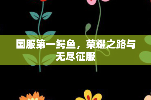 荣耀之路与无尽征服图片