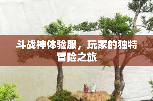 玩家的独特冒险之旅图片