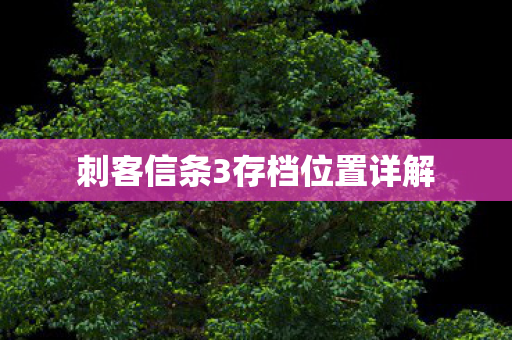 刺客信条3存档位置详解图片