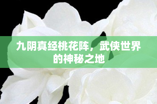武侠世界的神秘之地图片