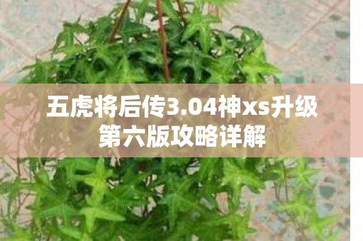 04神xs升级第六版攻略详解图片