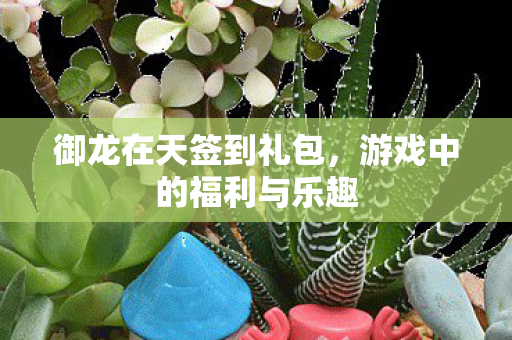 游戏中的福利与乐趣图片