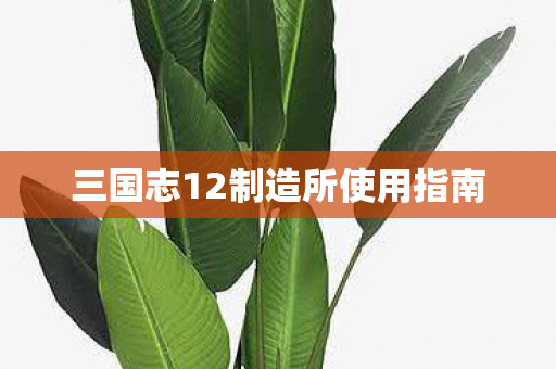三国志12制造所使用指南图片