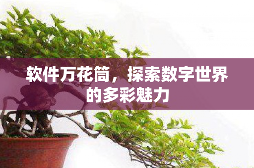 探索数字世界的多彩魅力图片