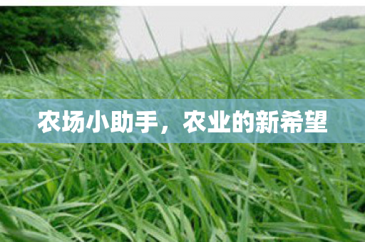 农业的新希望图片