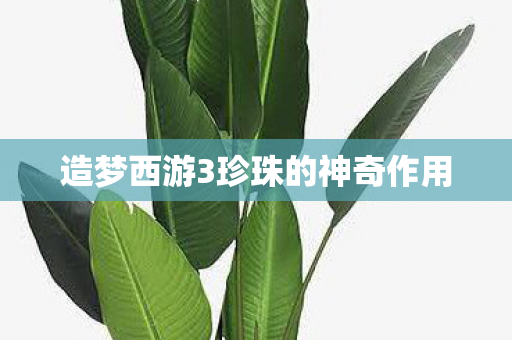 造梦西游3珍珠的神奇作用图片
